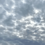 암 환자가 겪는 불안, 우울감 회복하는 실질 노하우