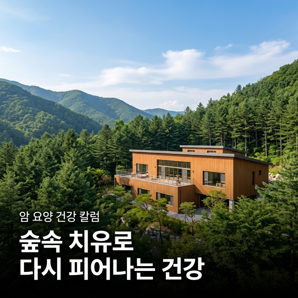 암 환자 요양원 선택 가이드 — 산속 자연 속에 자리한 요양병원, returnhome.kr